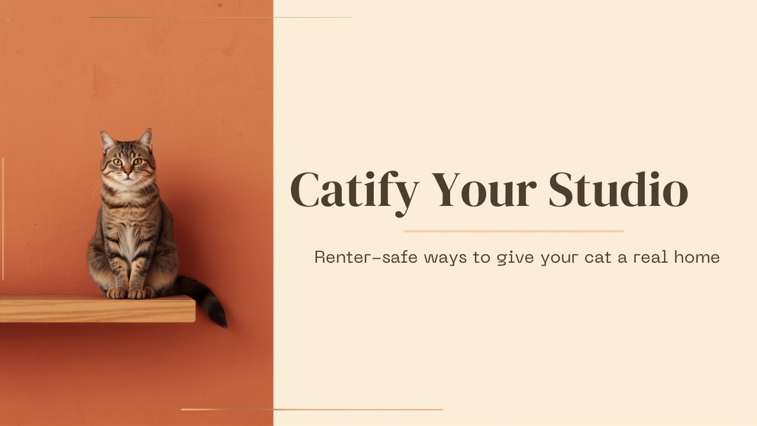 Catify Your Studio guide cover, renter-safe cat apartment setup