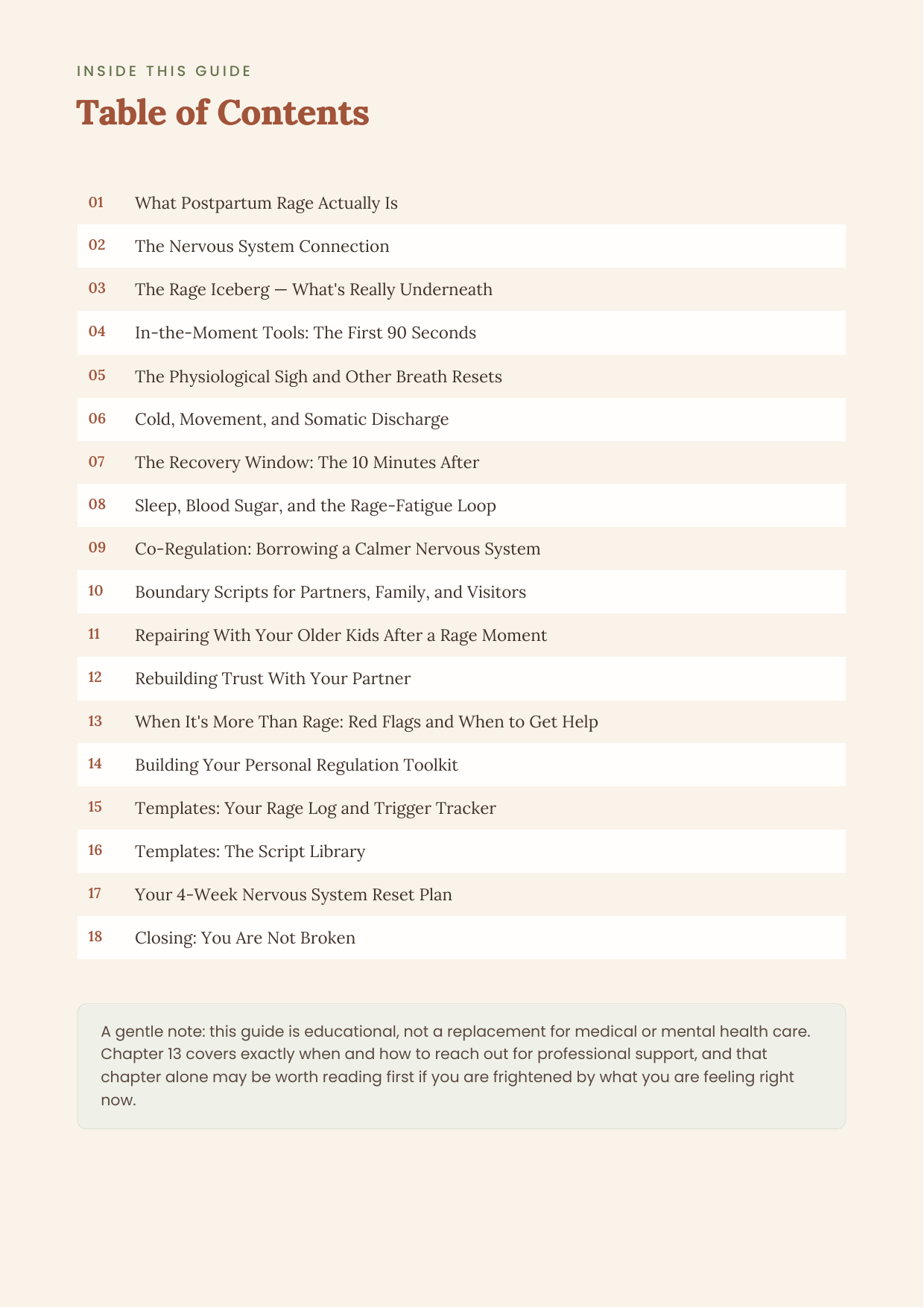 Postpartum Rage Recovery Toolkit: Real Tools for the Anger No One Warned You About