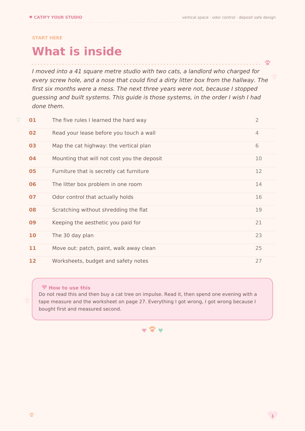 Catify Your Studio: The Renter-Safe Cat Apartment Guide