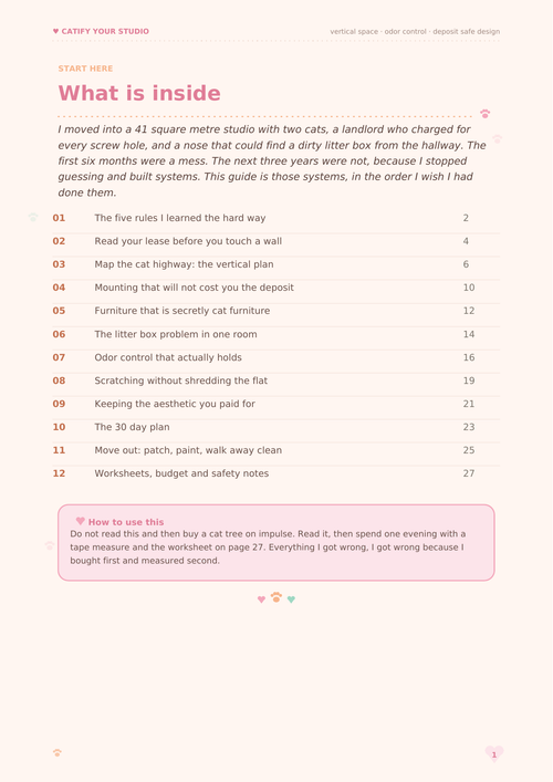 Catify Your Studio: The Renter-Safe Cat Apartment Guide