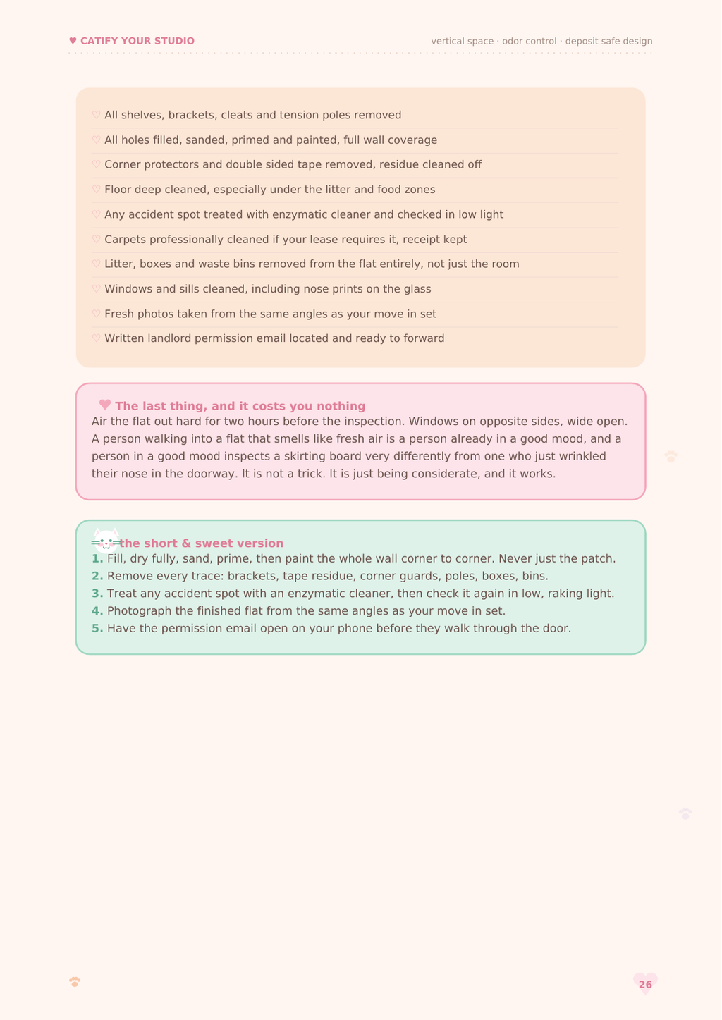 Catify Your Studio: The Renter-Safe Cat Apartment Guide